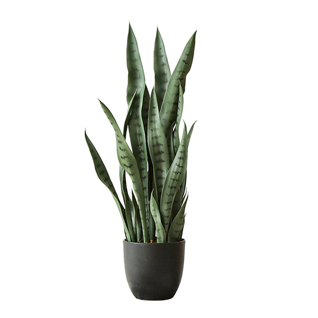 95cm Artificial Indoor Snake Plant