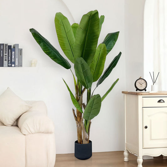 190cm Banana Plant