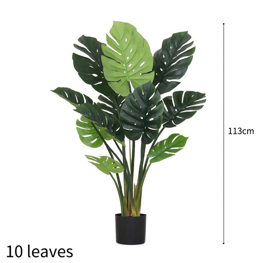 113cm Artificial Turtle Back Plant