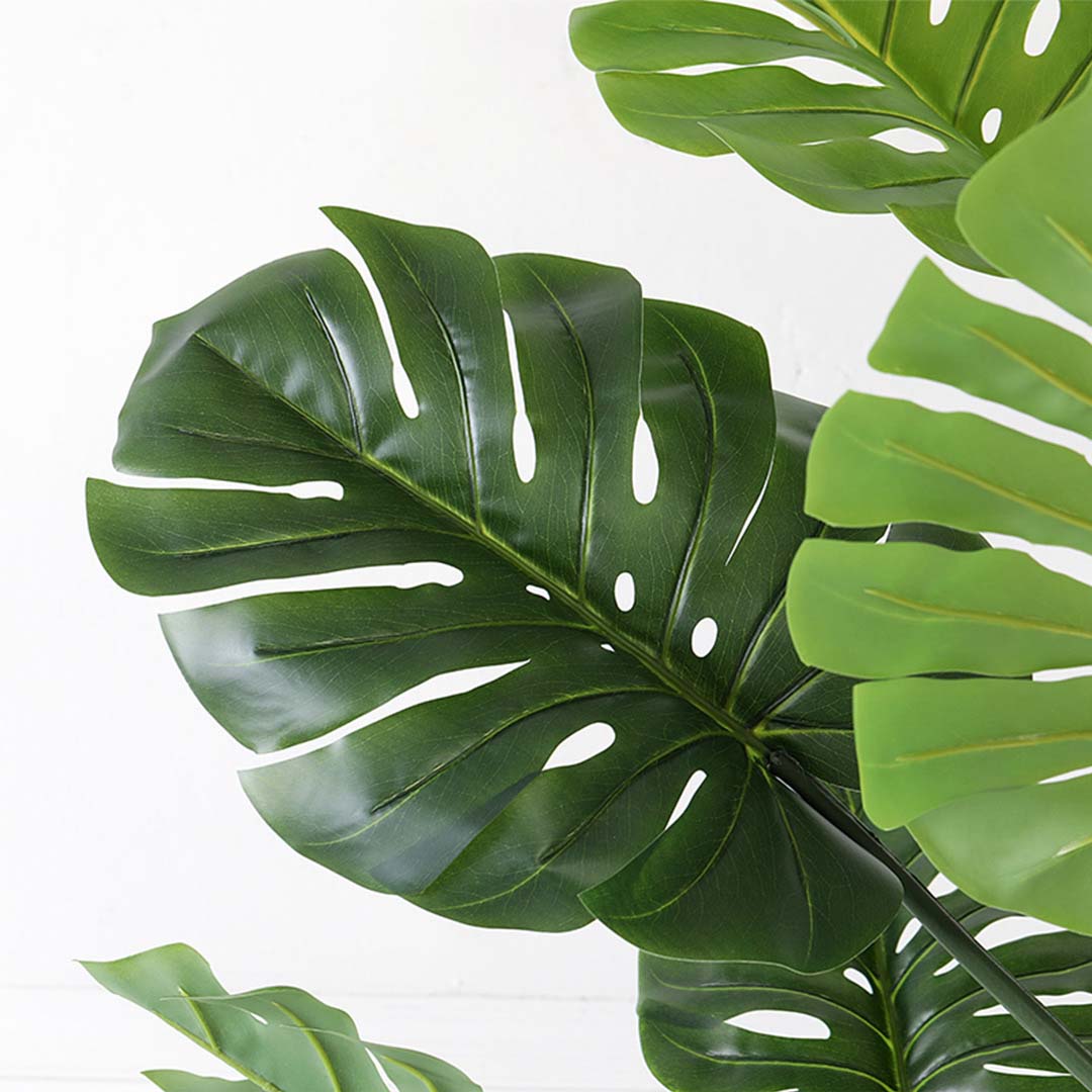 113cm Artificial Turtle Back Plant