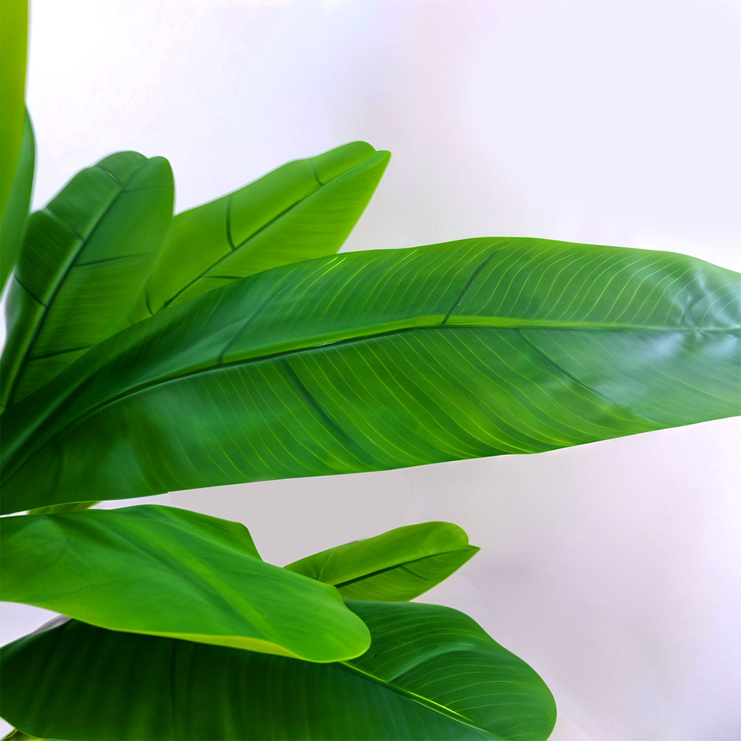 160cm Bird of Paradise Artificial Plant
