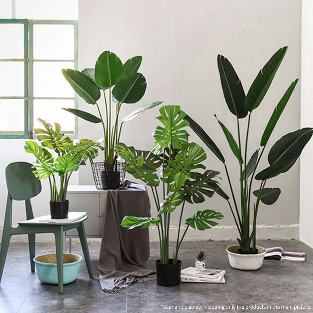 93cm Artificial Turtle Back Plant
