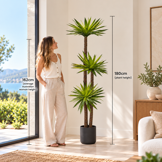 180cm Yucca Tree