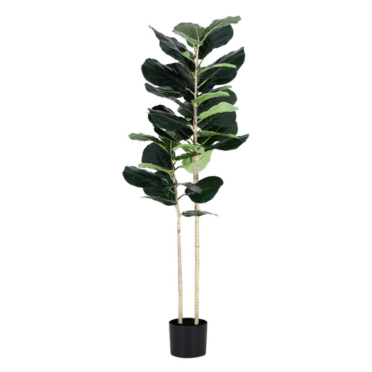 150cm Fiddle Tree