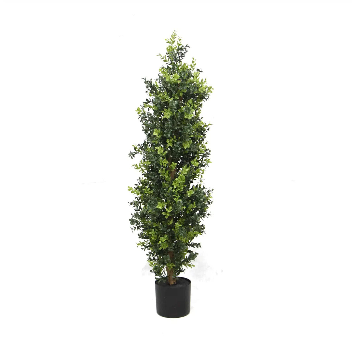 Topiary Tree 120cm
