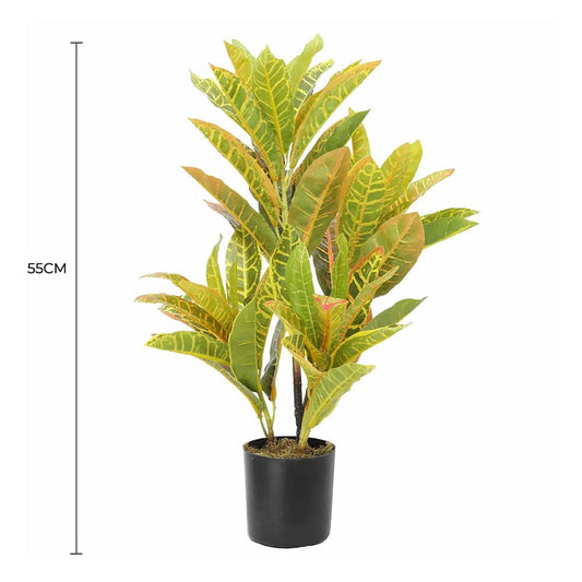 Flaming Zebra 55cm