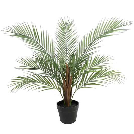 Small Areca Palm 80cm