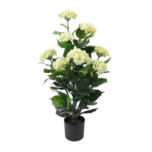 Flowering White Hydrangea Tree 90cm