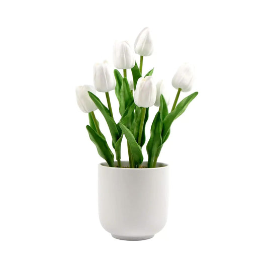 White Tulip Plant 35cm