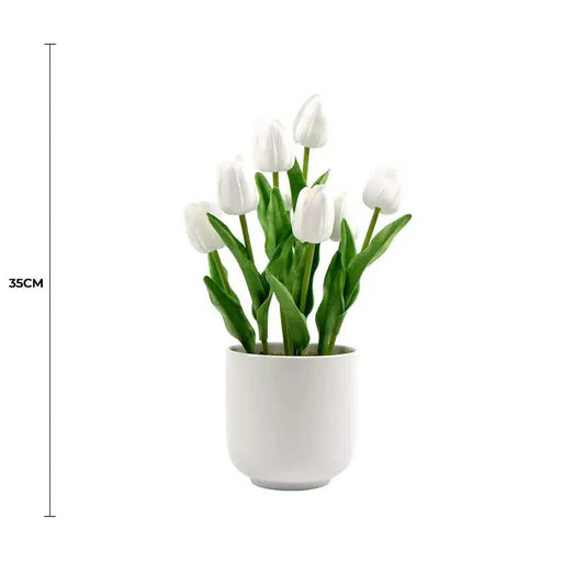 White Tulip Plant 35cm