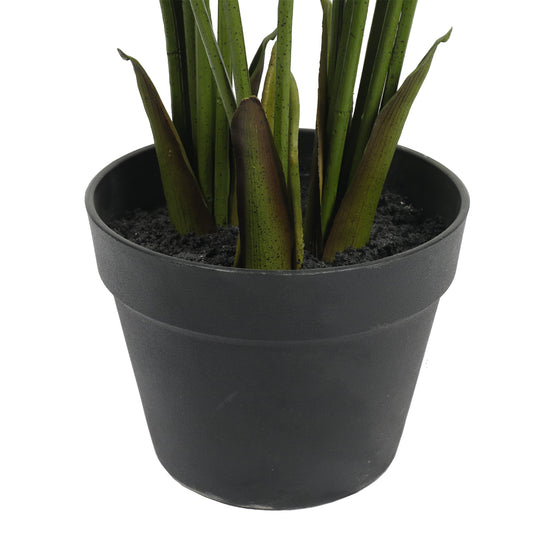 Areca Fern Tree 120cm