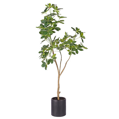 SOGA 160cm Artificial Natural Green Schefflera Dwarf Umbrella Tree Fake Tropical Indoor Plant Home Office Decor $ 166.90