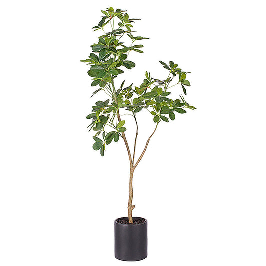 SOGA 160cm Artificial Natural Green Schefflera Dwarf Umbrella Tree Fake Tropical Indoor Plant Home Office Decor $ 166.90