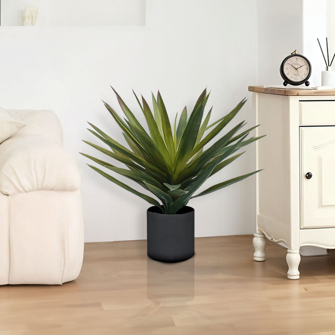 45cm Yucca Plant