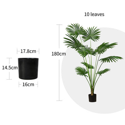 180cm Artificial Fan Palm