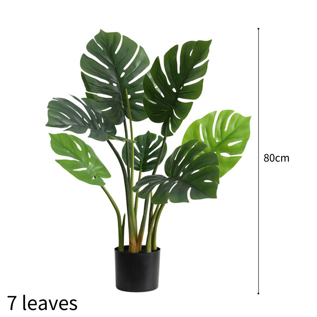 80cm Artificial Turtle Back Plant