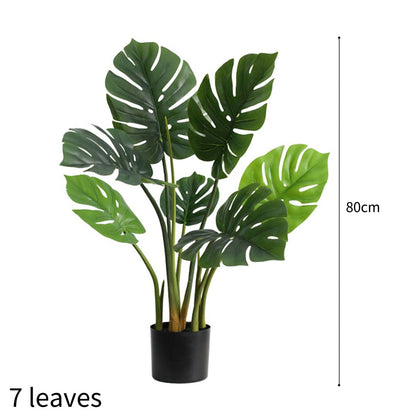80cm Artificial Turtle Back Plant
