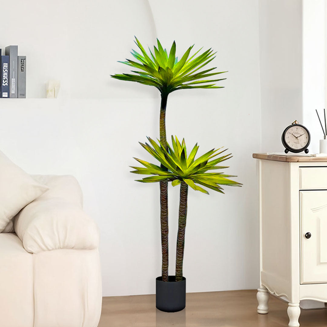 150cm Yucca Tree