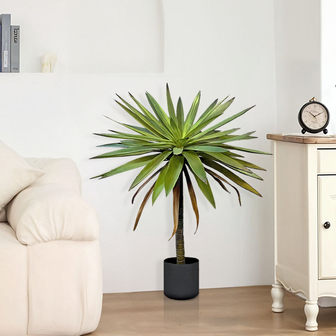90cm Yucca Tree