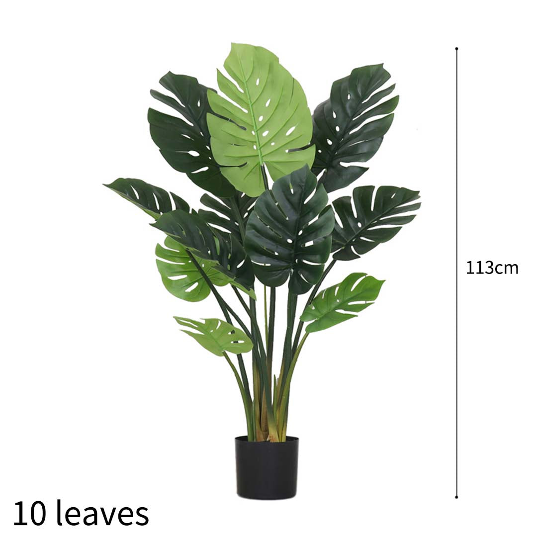 113cm Artificial Turtle Back Plant