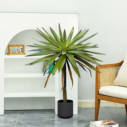 90cm Yucca Tree