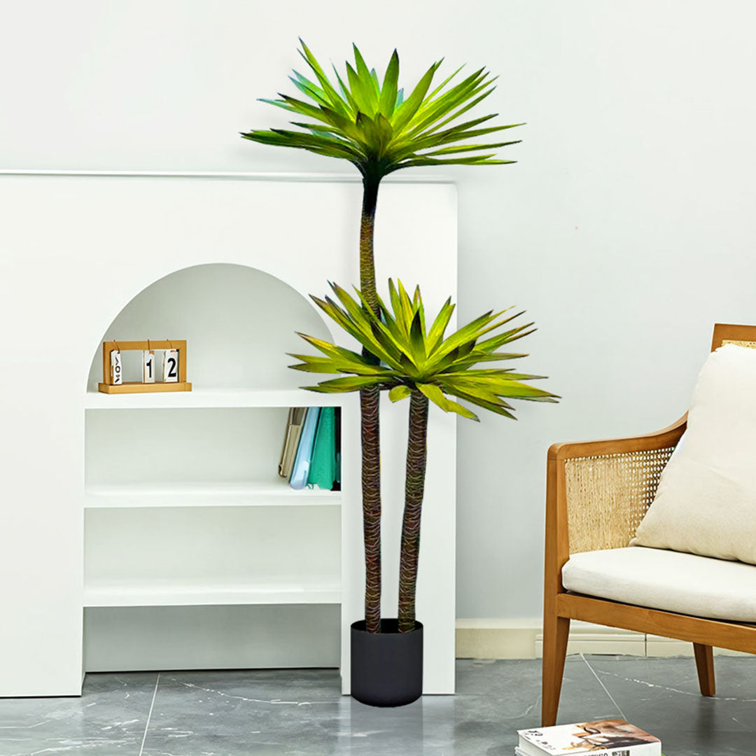 150cm Yucca Tree