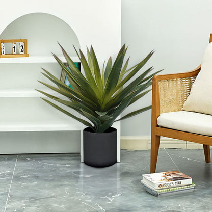 45cm Yucca Plant