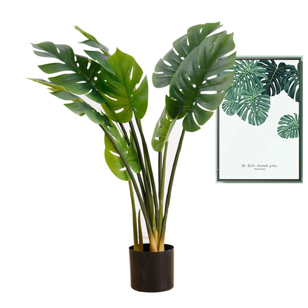 113cm Artificial Turtle Back Plant