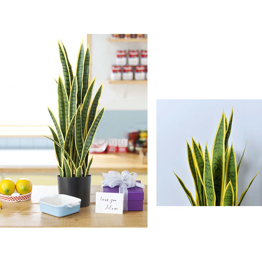 95cm Artificial Yellow Edge Tiger Plant