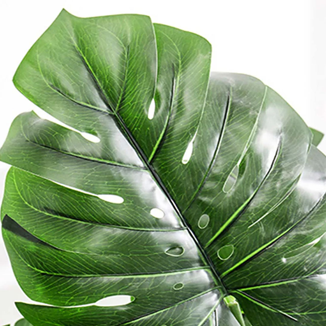 120cm Artificial Turtle Back Plant