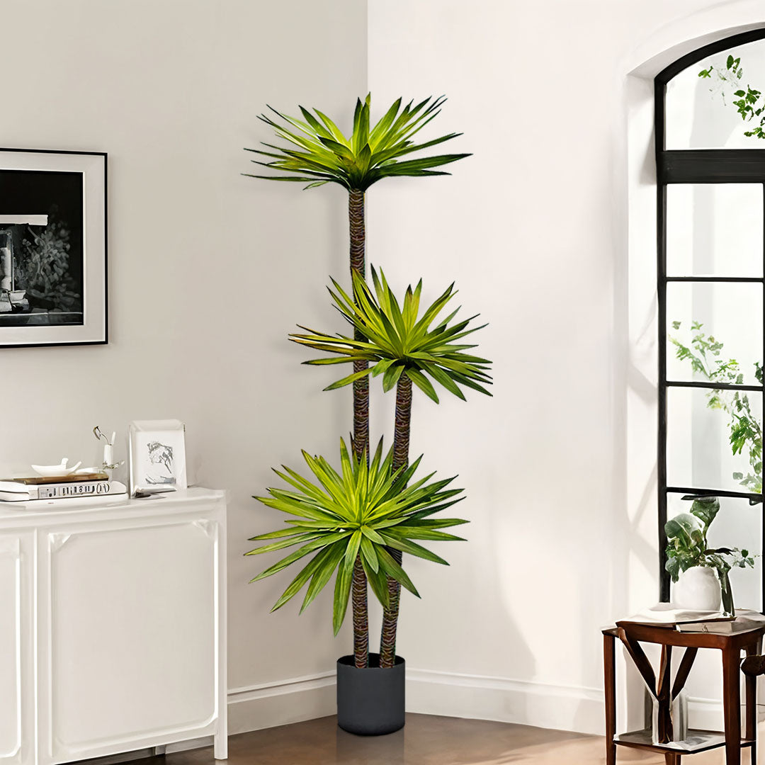 180cm Yucca Tree