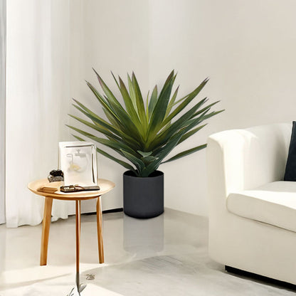 45cm Yucca Plant
