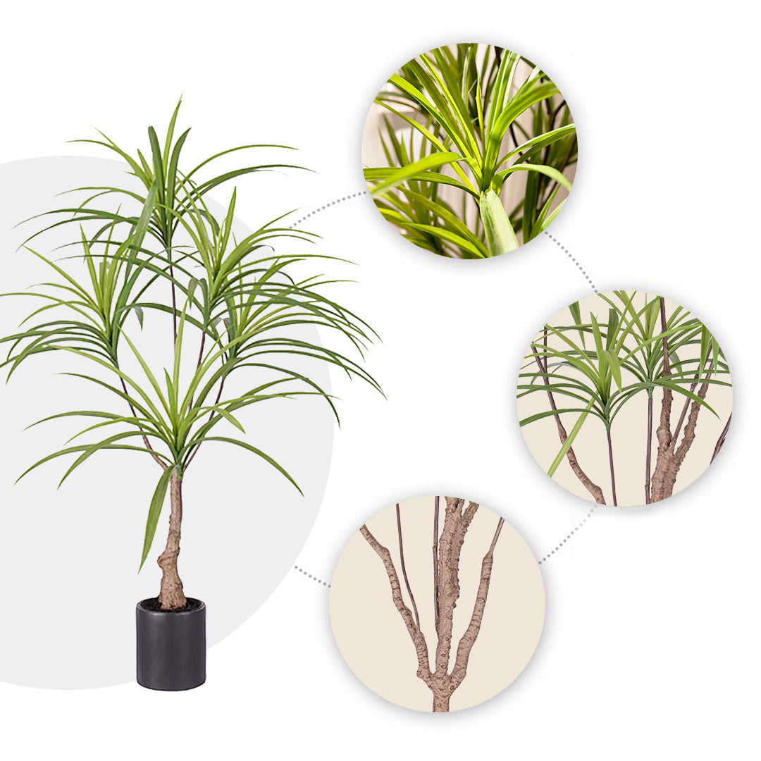 90cm Artificial Dracaena Dragon Tree