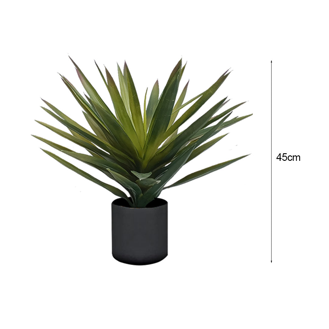 45cm Yucca Plant