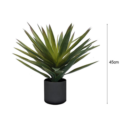 45cm Yucca Plant