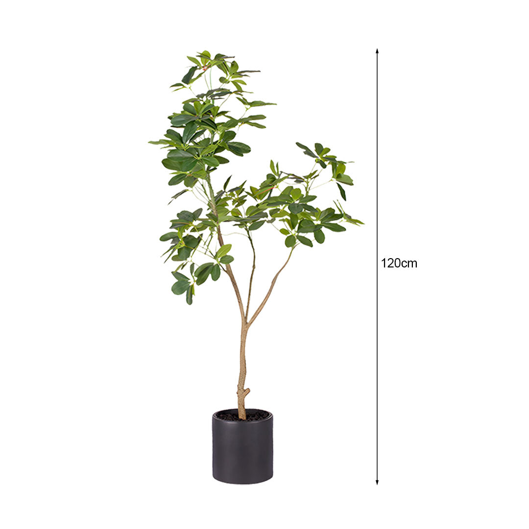 120cm Artificial Schefflera Dwarf Umbrella Tree