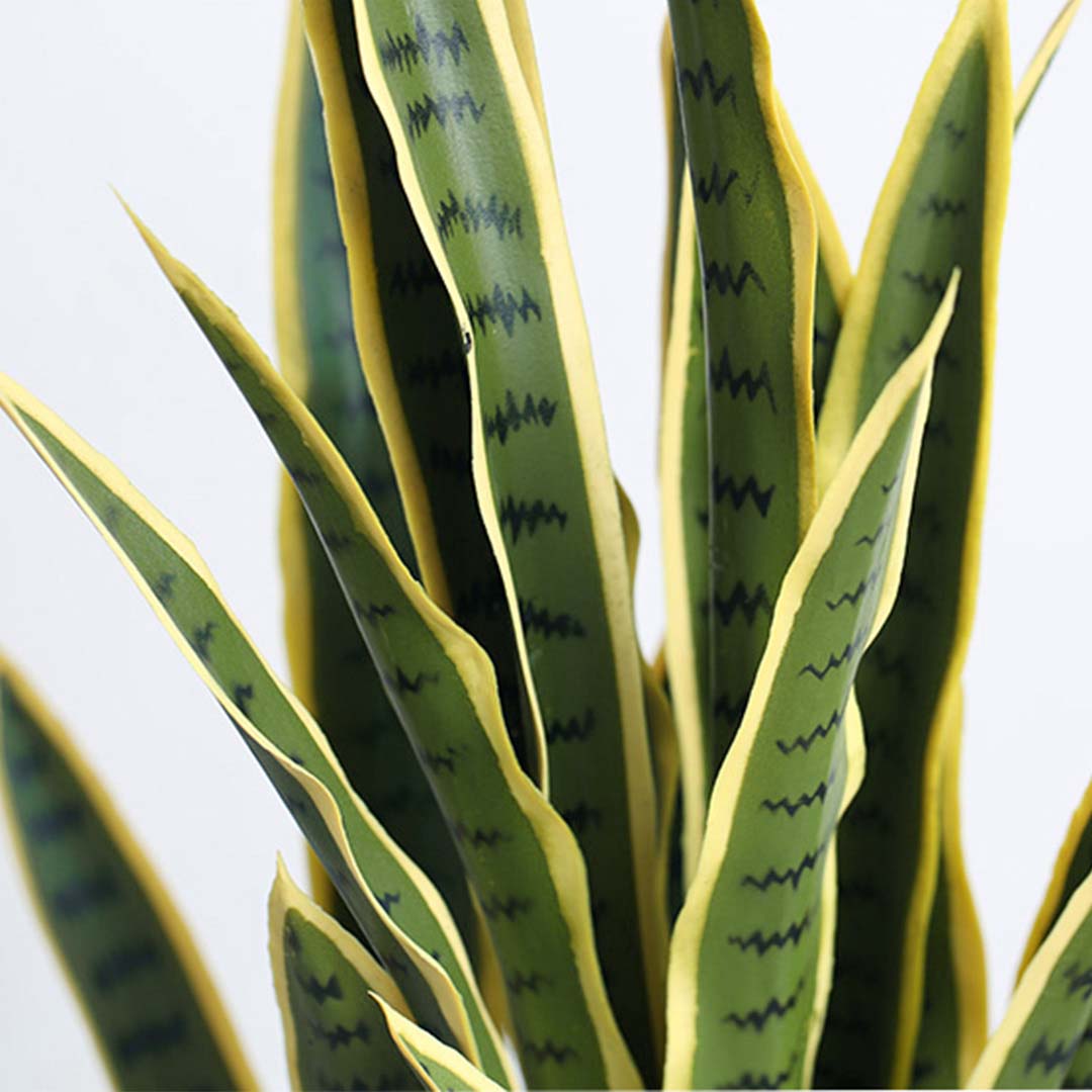 95cm Artificial Yellow Edge Tiger Plant