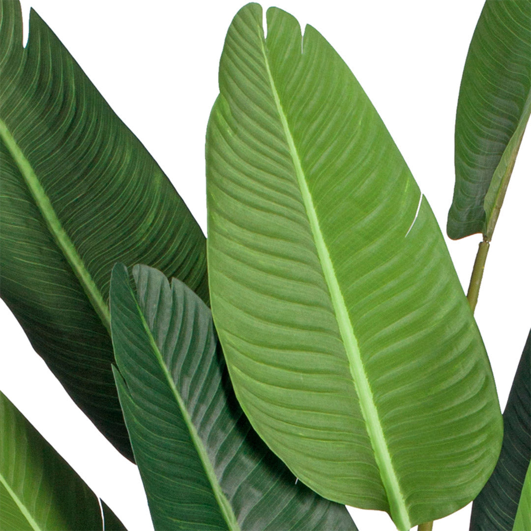 220cm Artificial Giant Birds of Paradise Tree