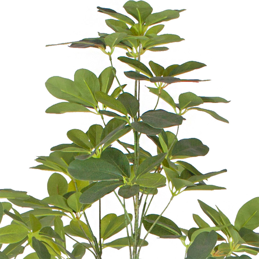 160cm Artificial Schefflera Dwarf Umbrella Tree