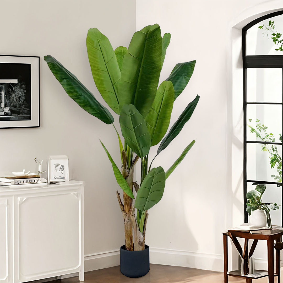 190cm Banana Plant