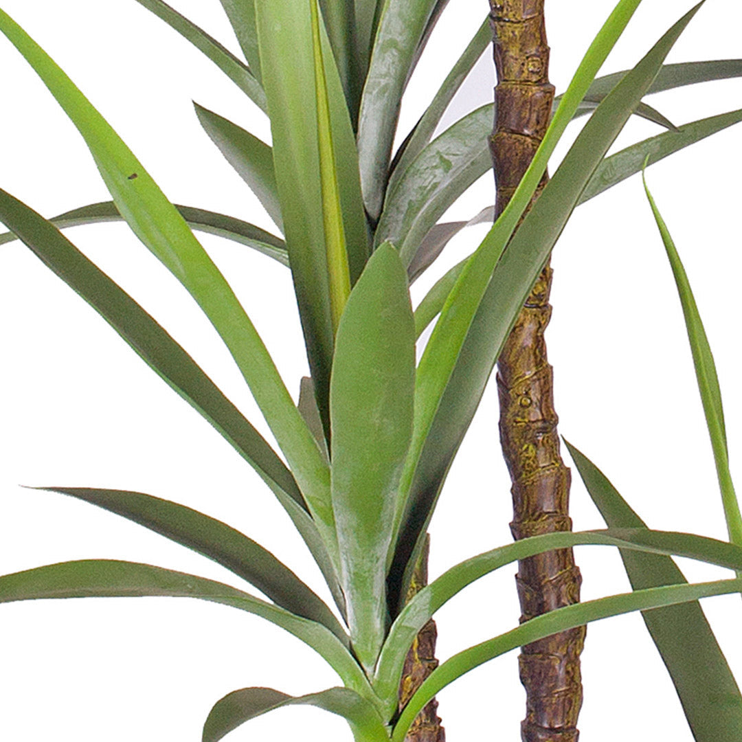 180cm Artificial Dracaena Yucca Tree