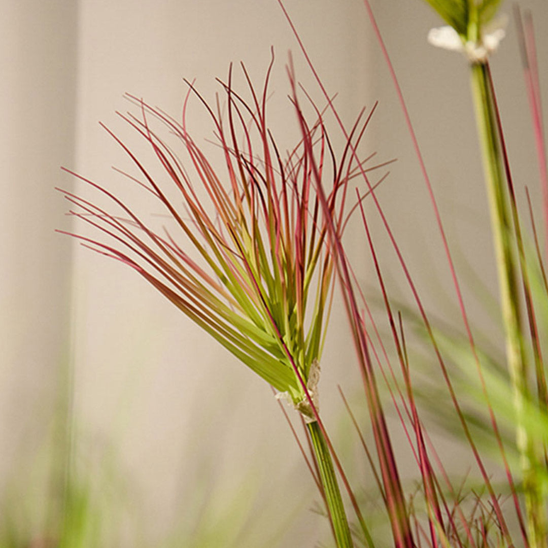 150cm Purple-Red Artificial Papyrus Plant