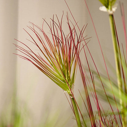 150cm Purple-Red Artificial Papyrus Plant