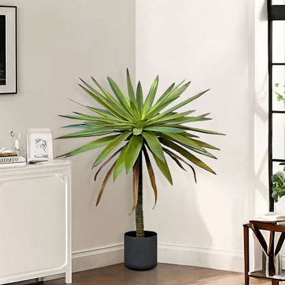 90cm Yucca Tree