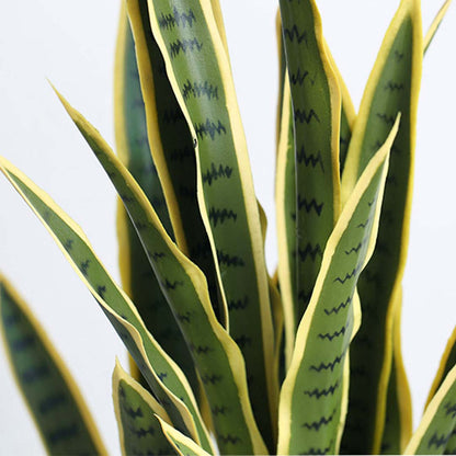 70cm Artificial Yellow Edge Tiger Plant