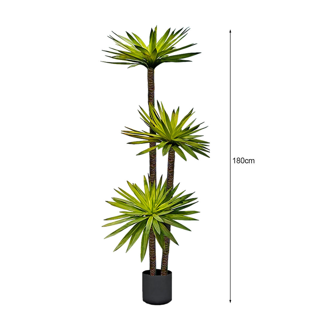 180cm Yucca Tree