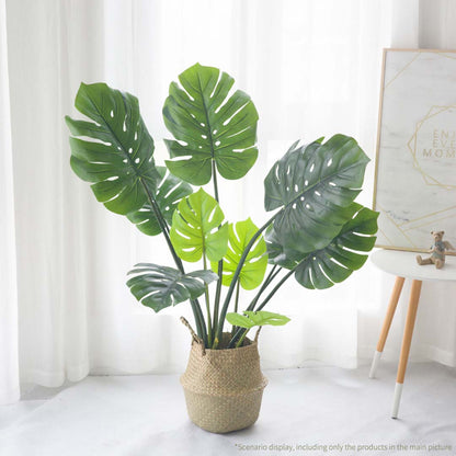 113cm Artificial Turtle Back Plant