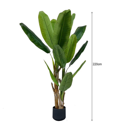 220cm Bird of Paradise Artificial Plant