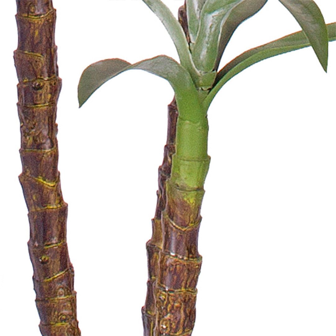 180cm Artificial Dracaena Yucca Tree