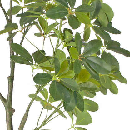 160cm Artificial Schefflera Dwarf Umbrella Tree